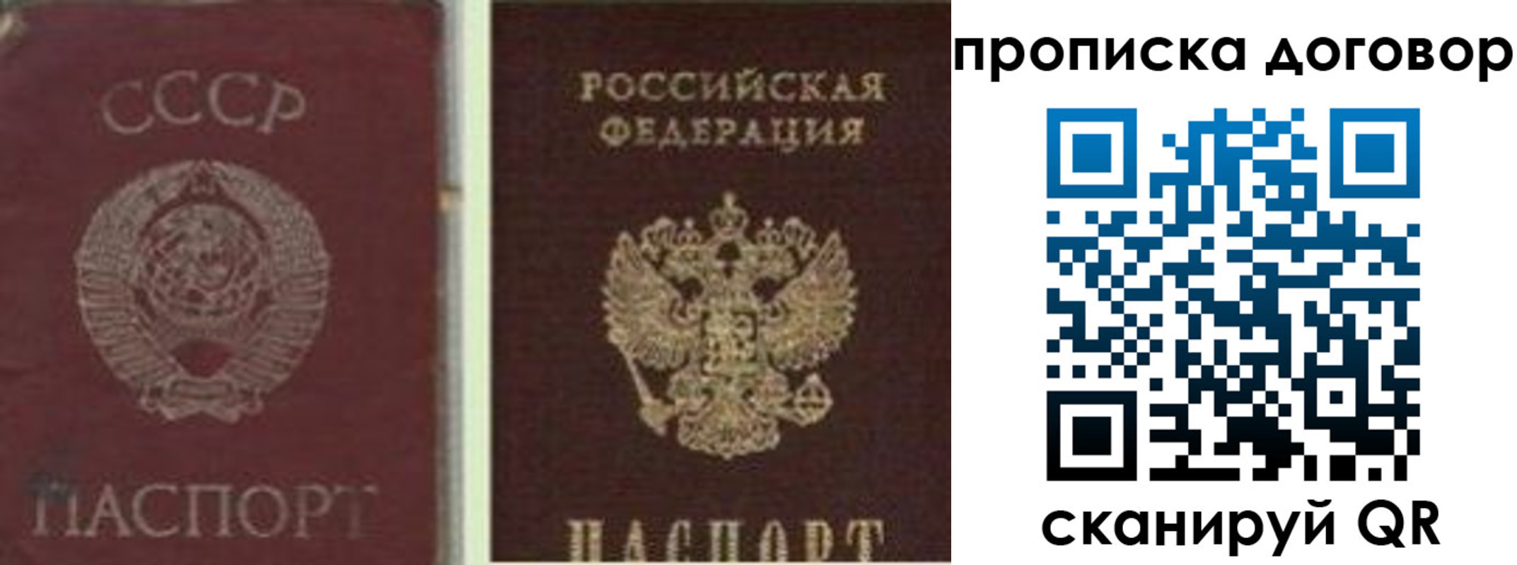прописка гарантия в Домодедово